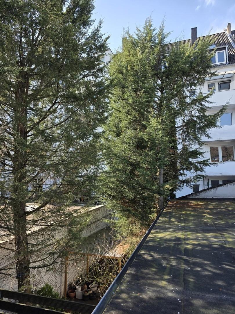 Blick ins Grün