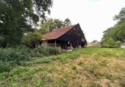 Schuppen