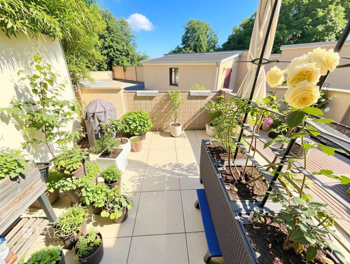 Terrasse 