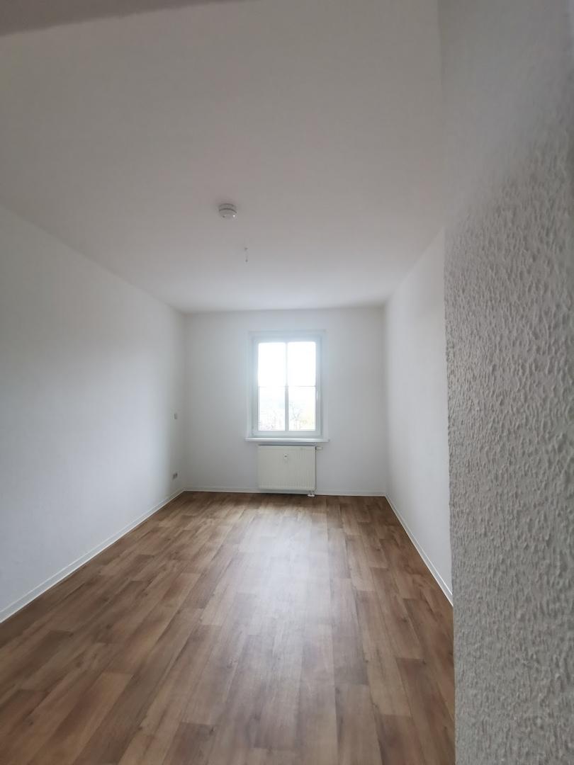 Zimmer3