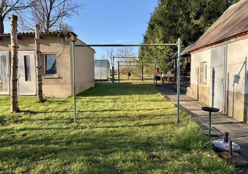 Blick in den Garten