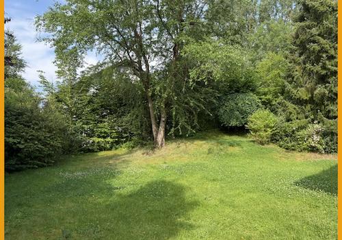 Blick in den Garten