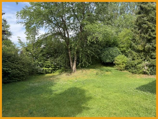 Blick in den Garten