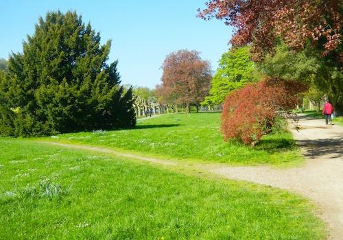 Park im Staden