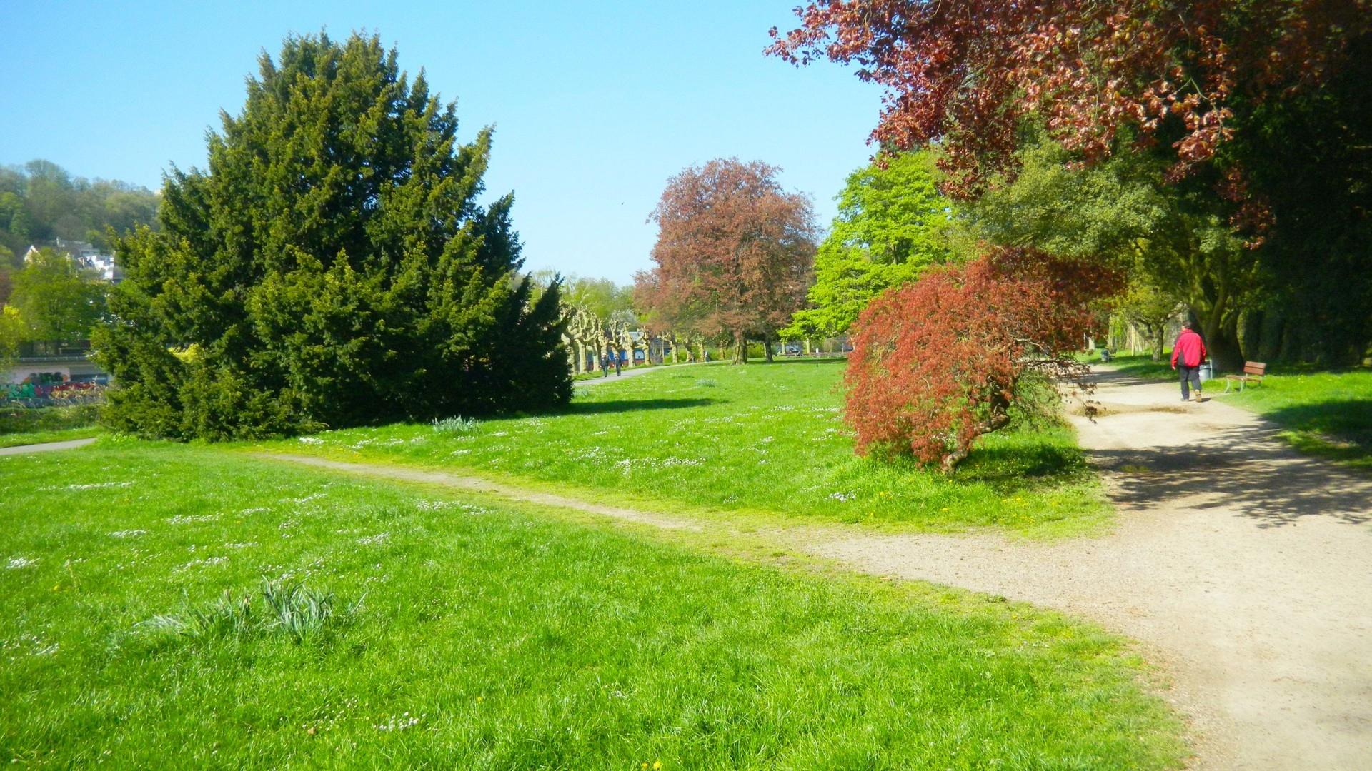 Park im Staden