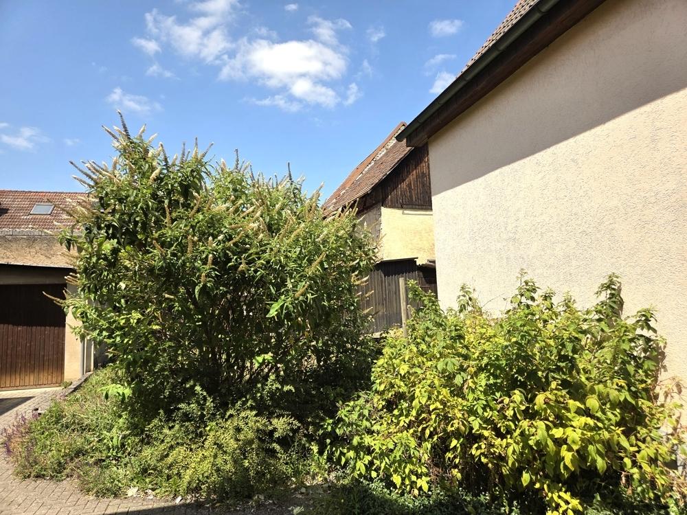 etwas grün ist auch dabei