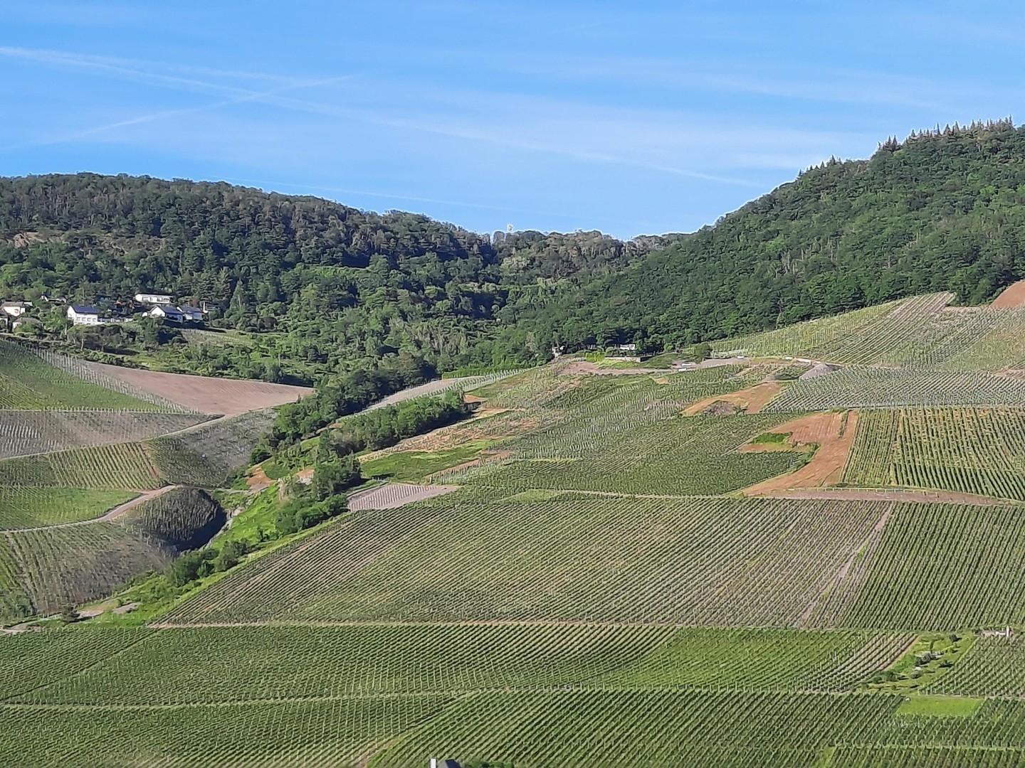 Aussicht