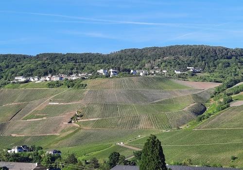 Aussicht
