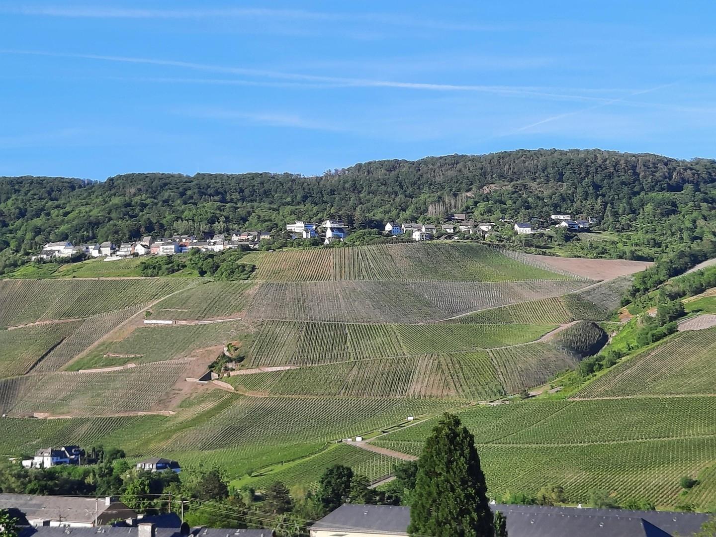 Aussicht