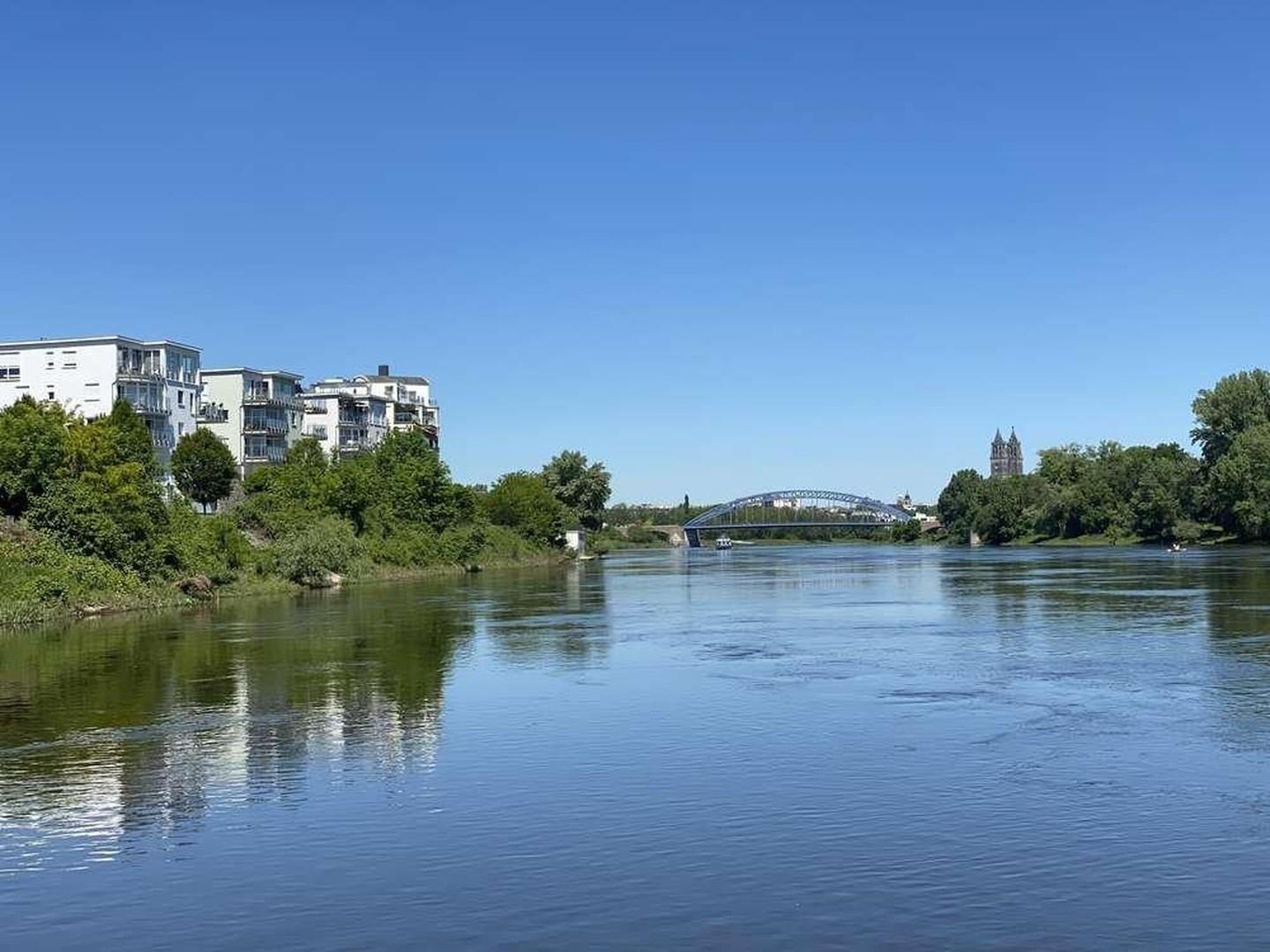 Umgebung - Elbe