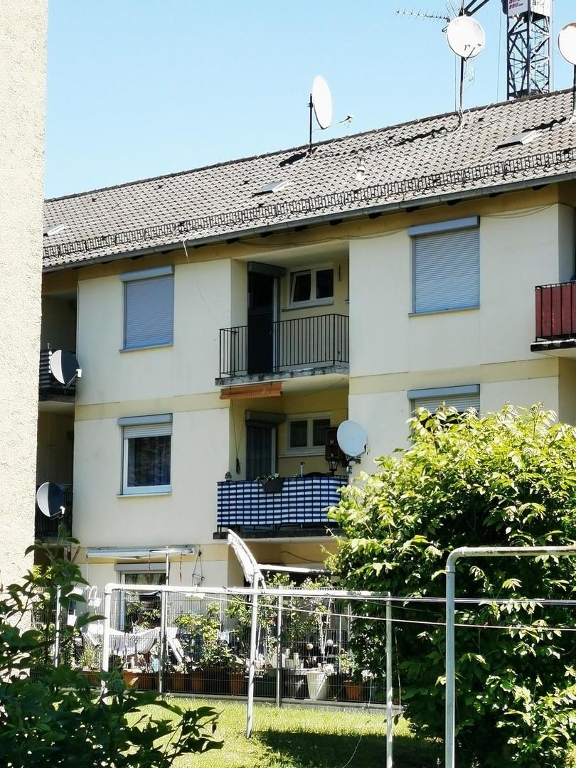 Außenschicht