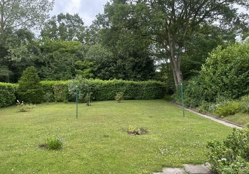 Der grüne Garten