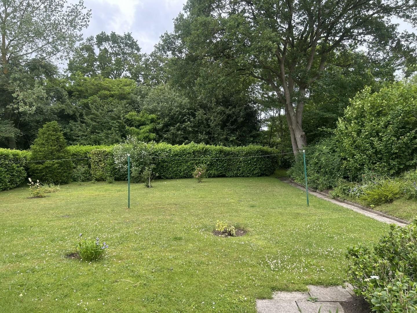 Der grüne Garten