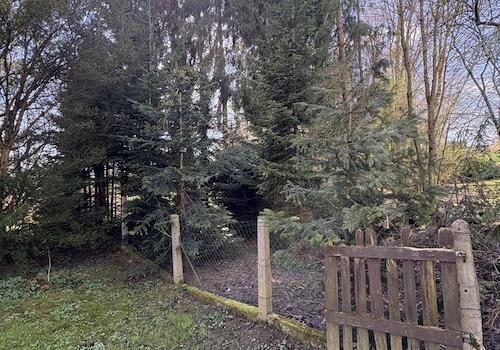 Garten (Abteil Bachlauf)