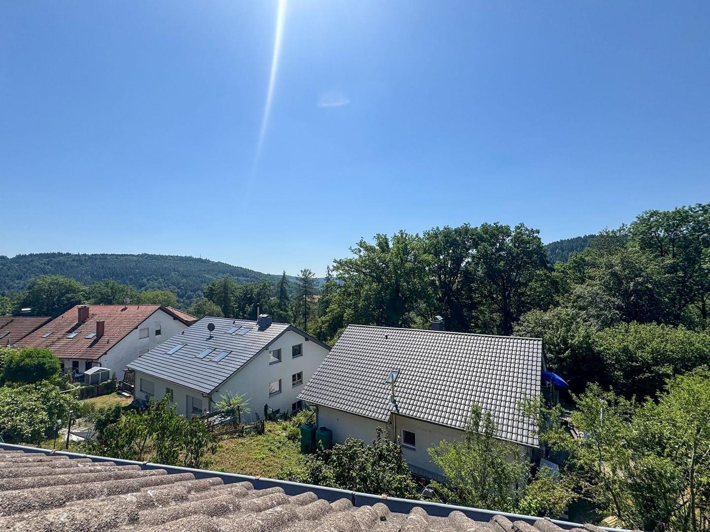 DG - Blick