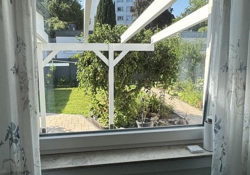 Blick in den Garten
