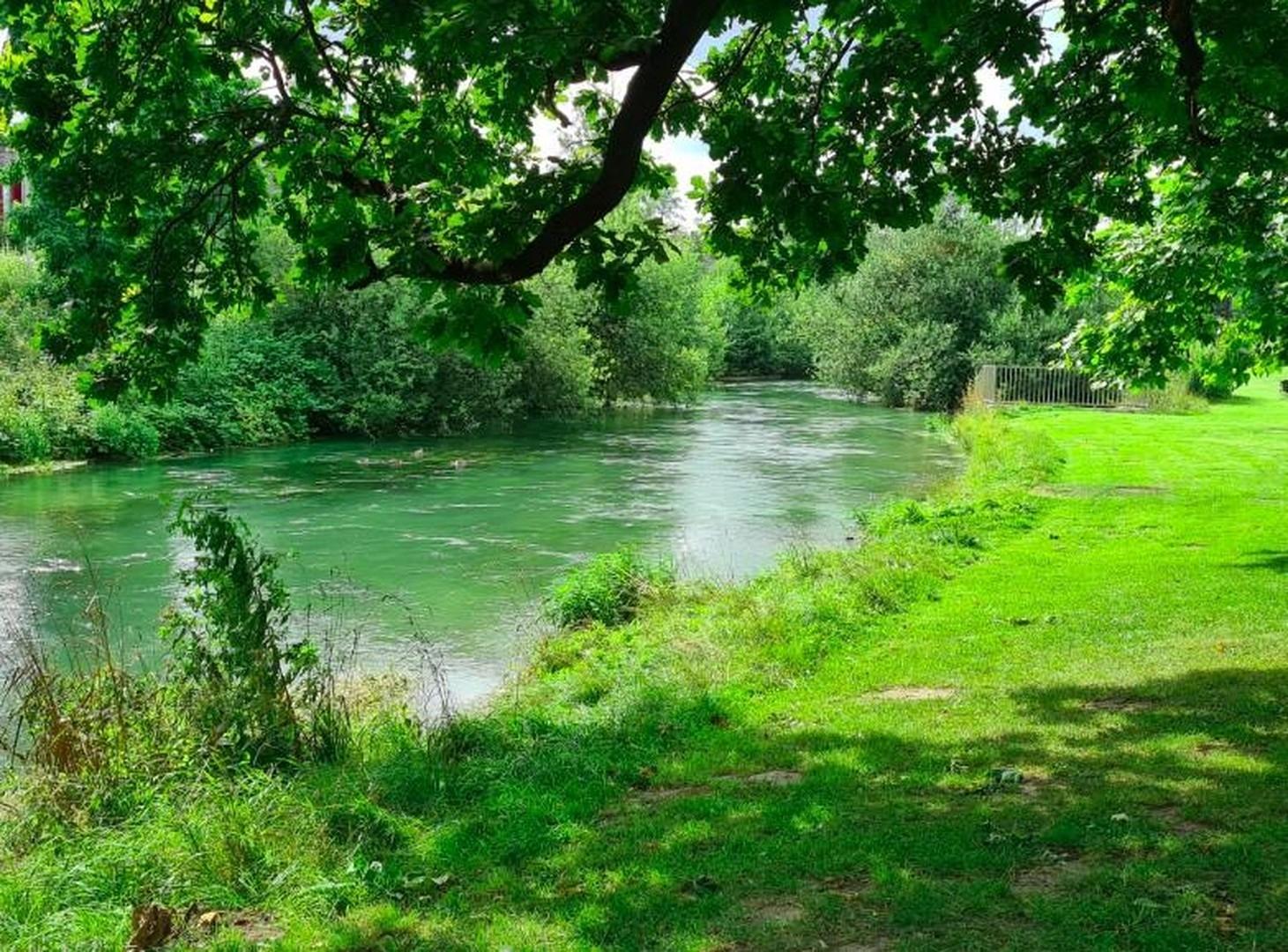 Paderauen