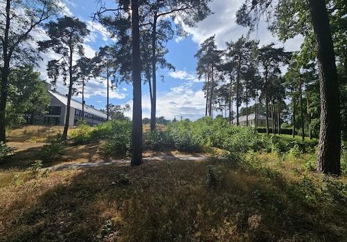 Uferwanderweg