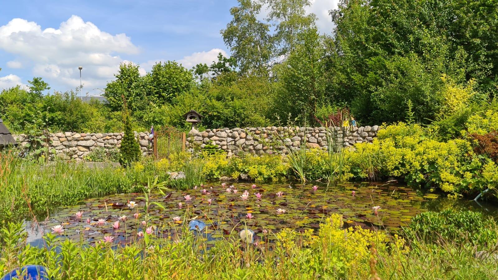 Garten mit Teich
