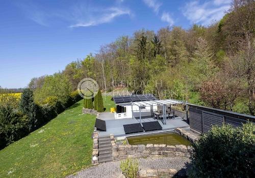 Blick in den Garten