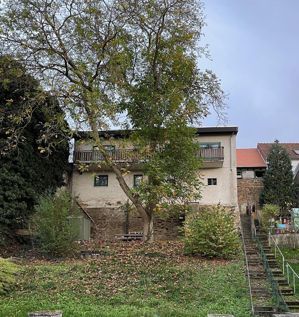 Hausansicht Garten