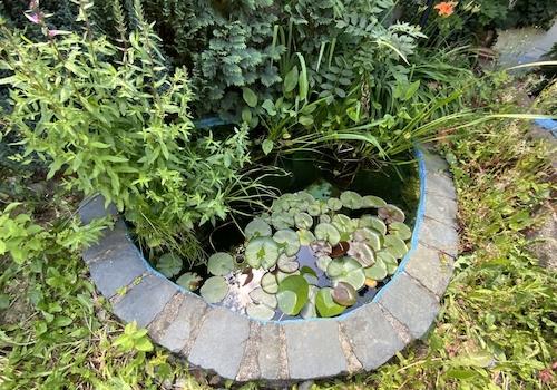 kleiner Gartenteich