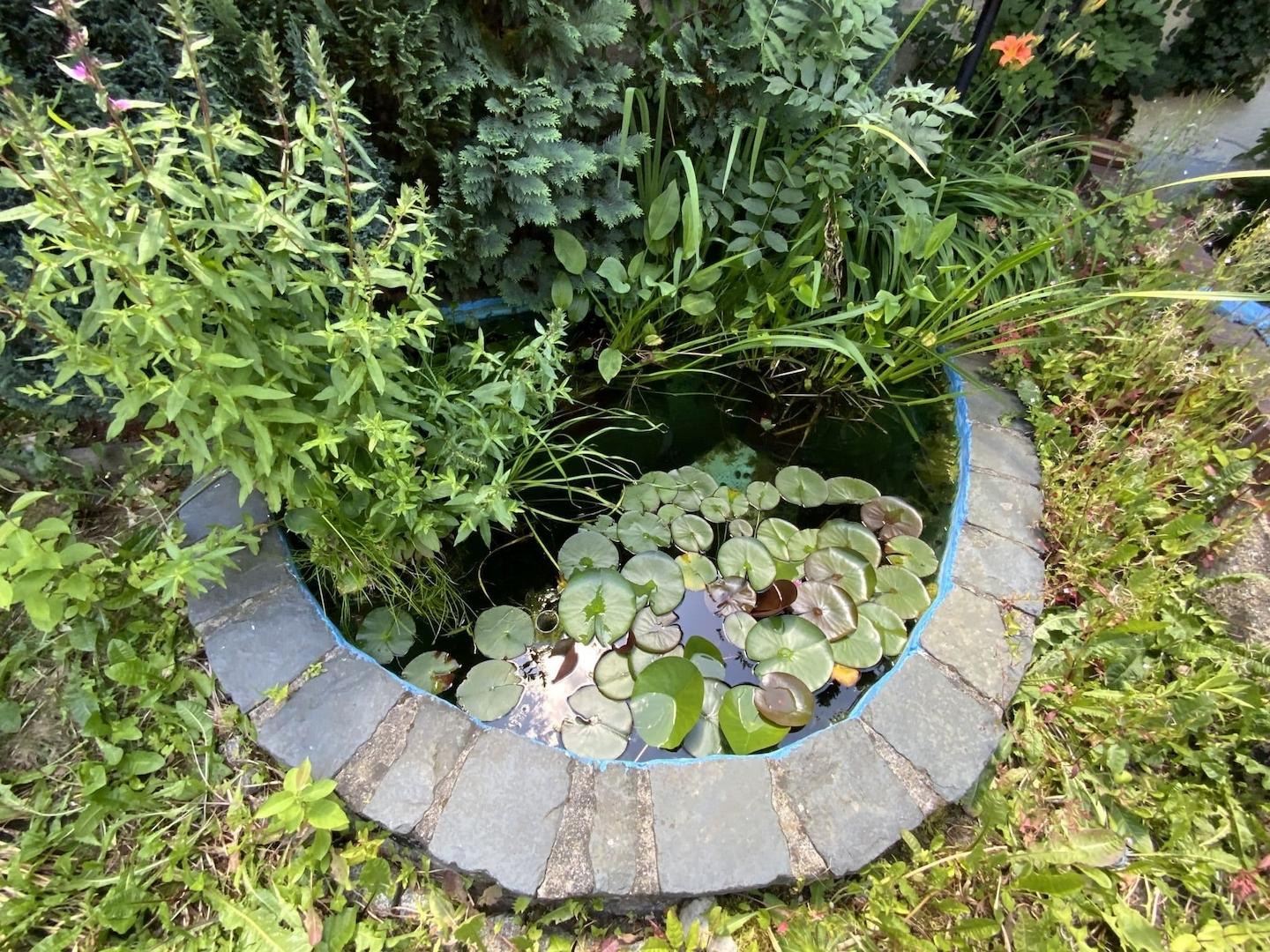 kleiner Gartenteich