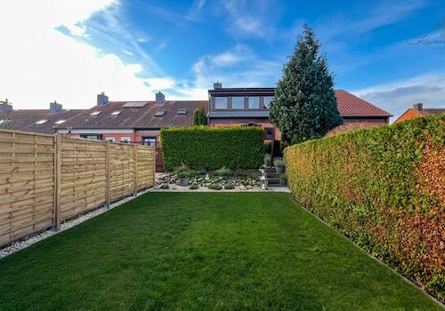 Blick in den Garten