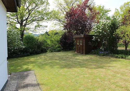 Blick in den Garten