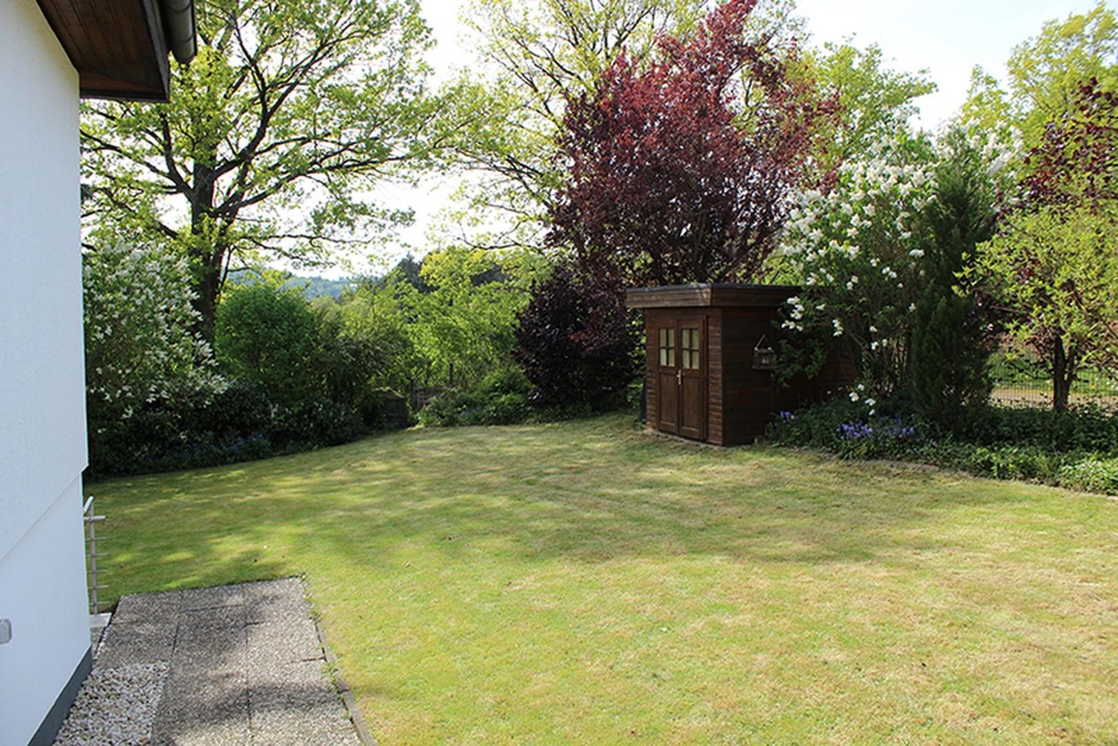 Blick in den Garten