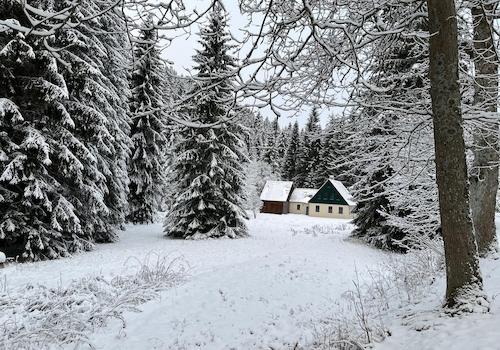 im Winter
