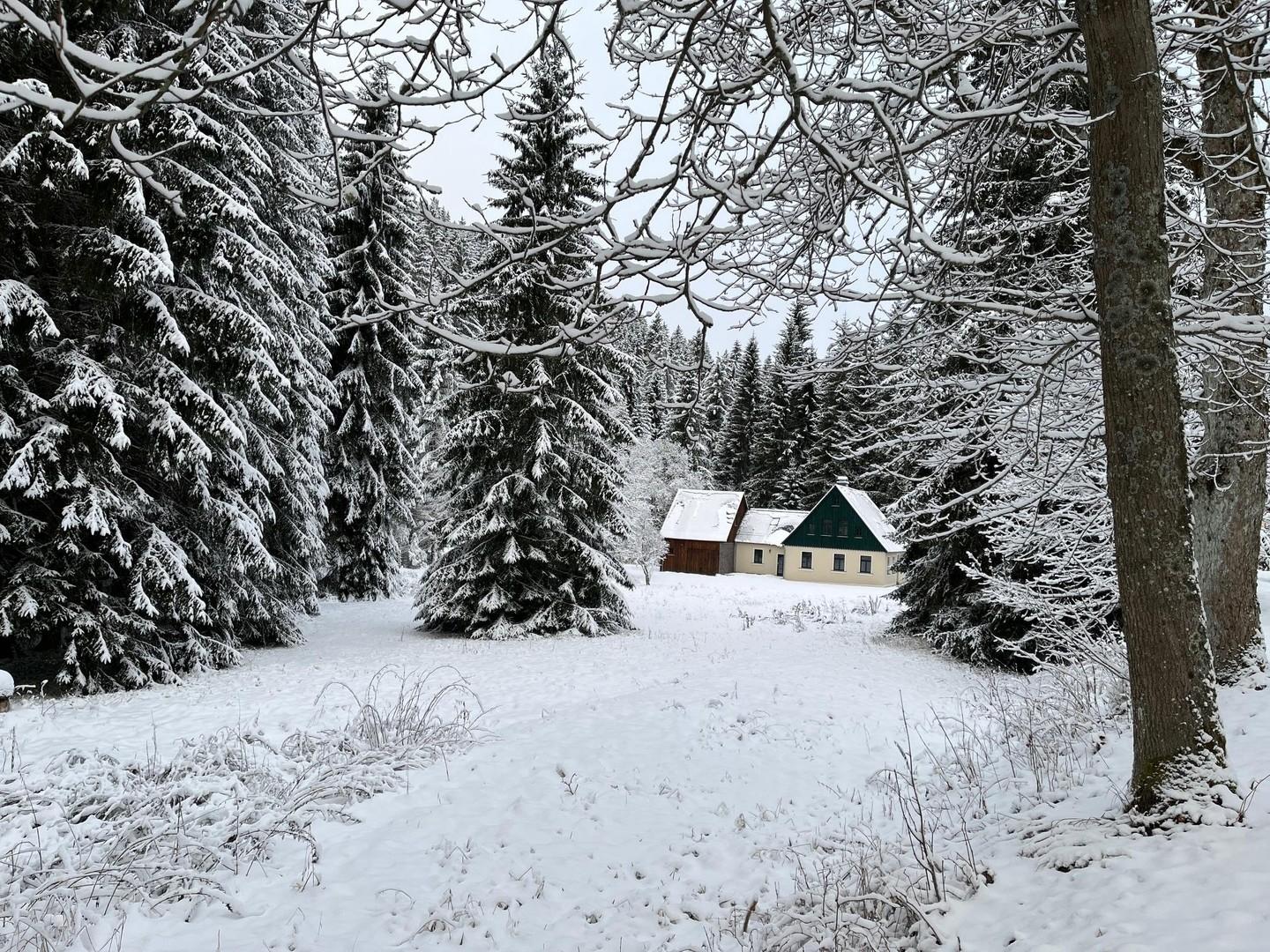 im Winter