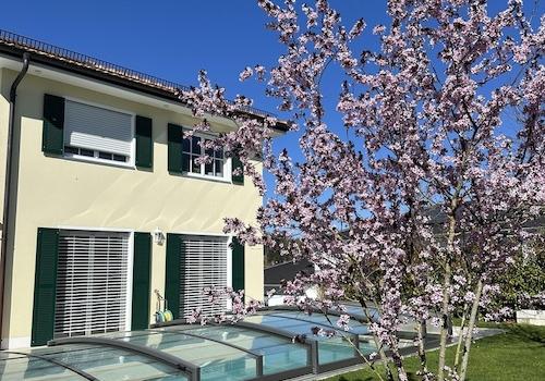 Blick auf das Haus und Pool