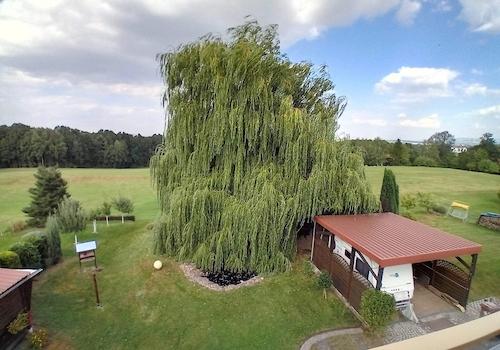 Blick v.Balkon in Garten