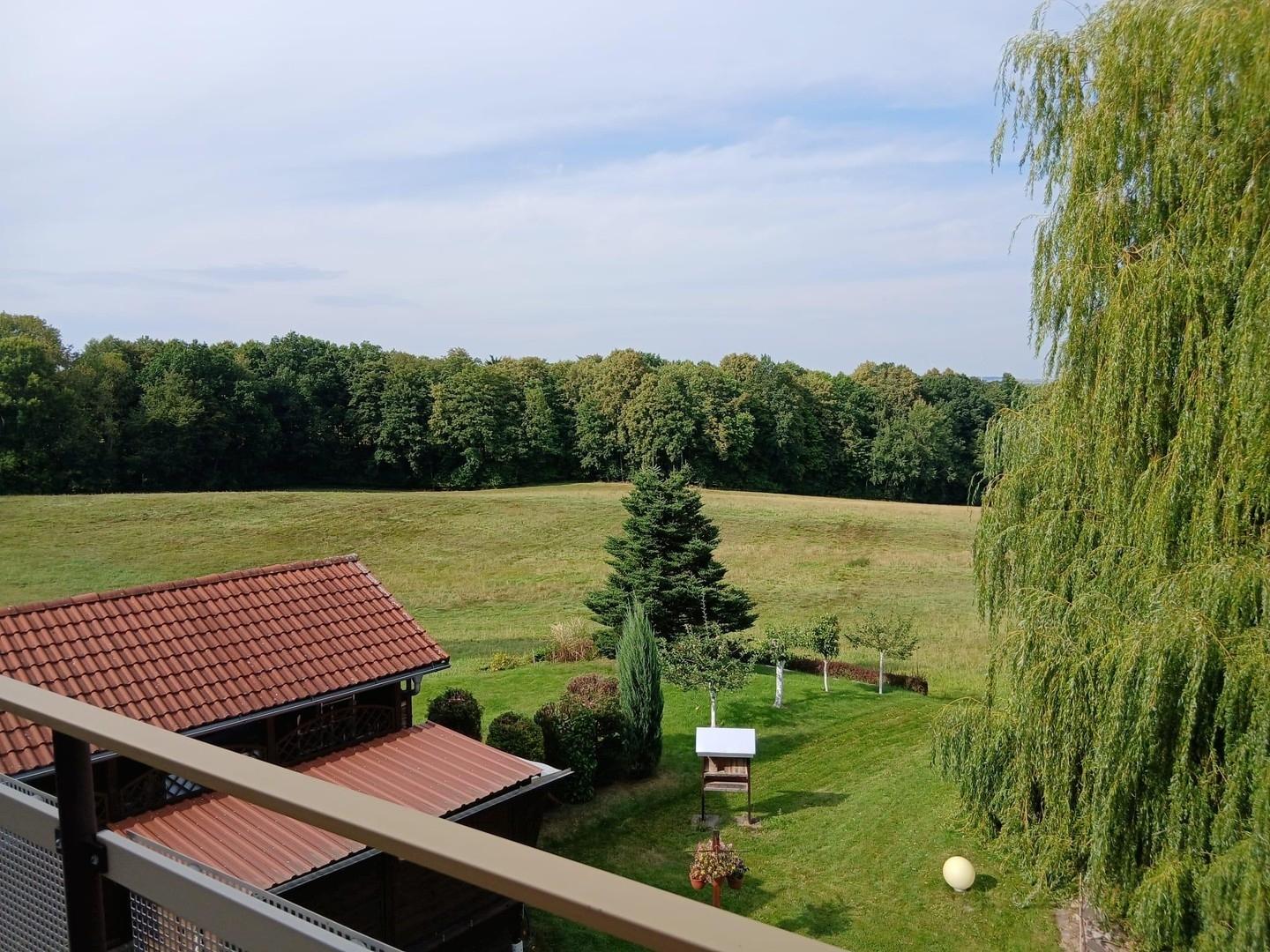 Blick v.Balkon in Garten