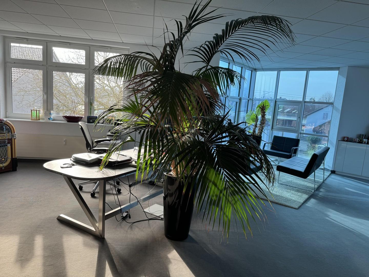 Büro