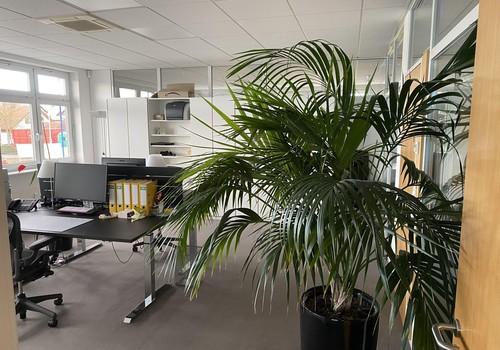 Büro