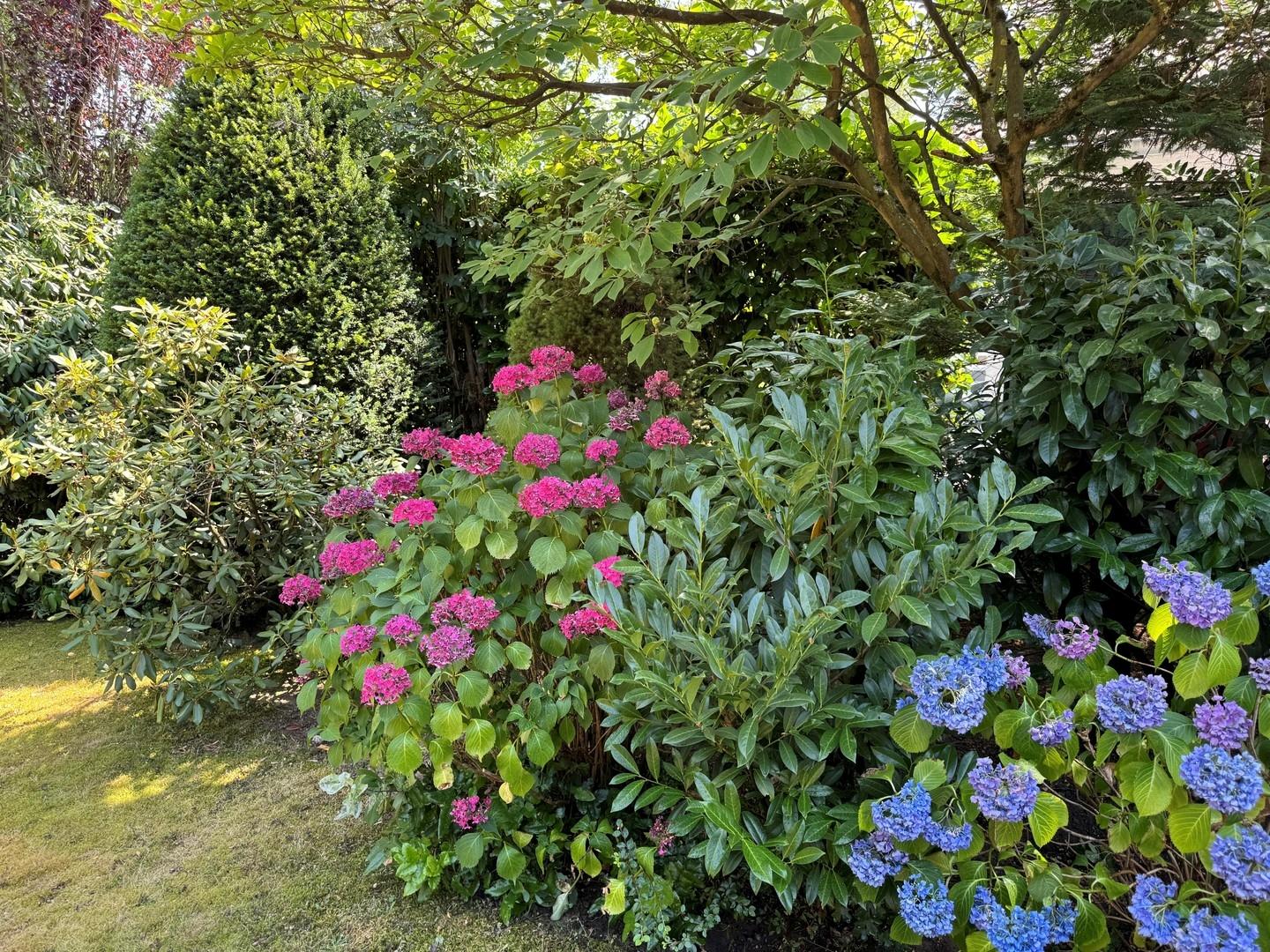 Blumengarten
