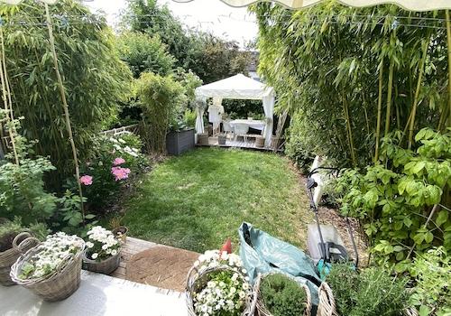 Blick in den Garten