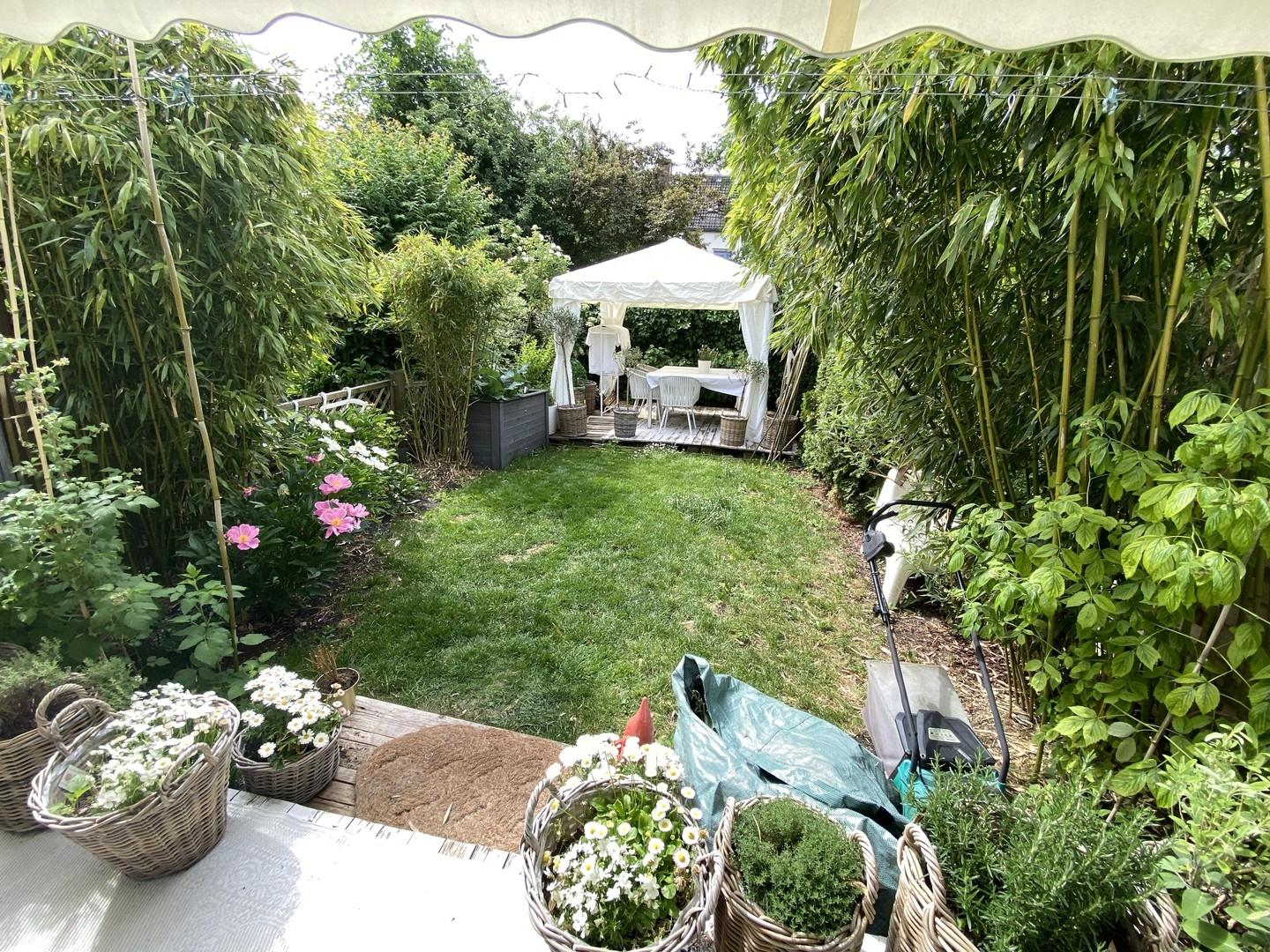 Blick in den Garten