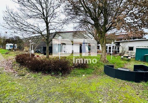 Garten / Biergarten / Terrasse