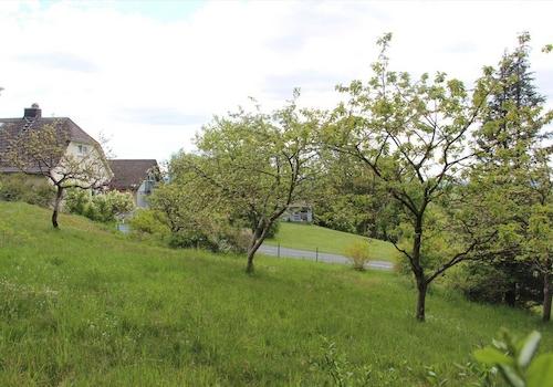 Gartenansicht