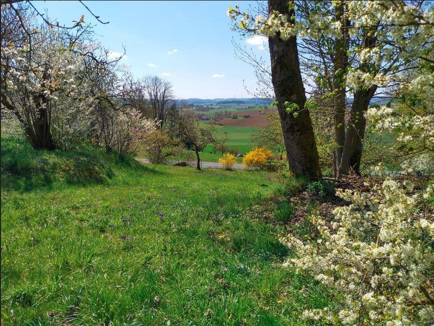 Gartenausblick Richtung Süd
