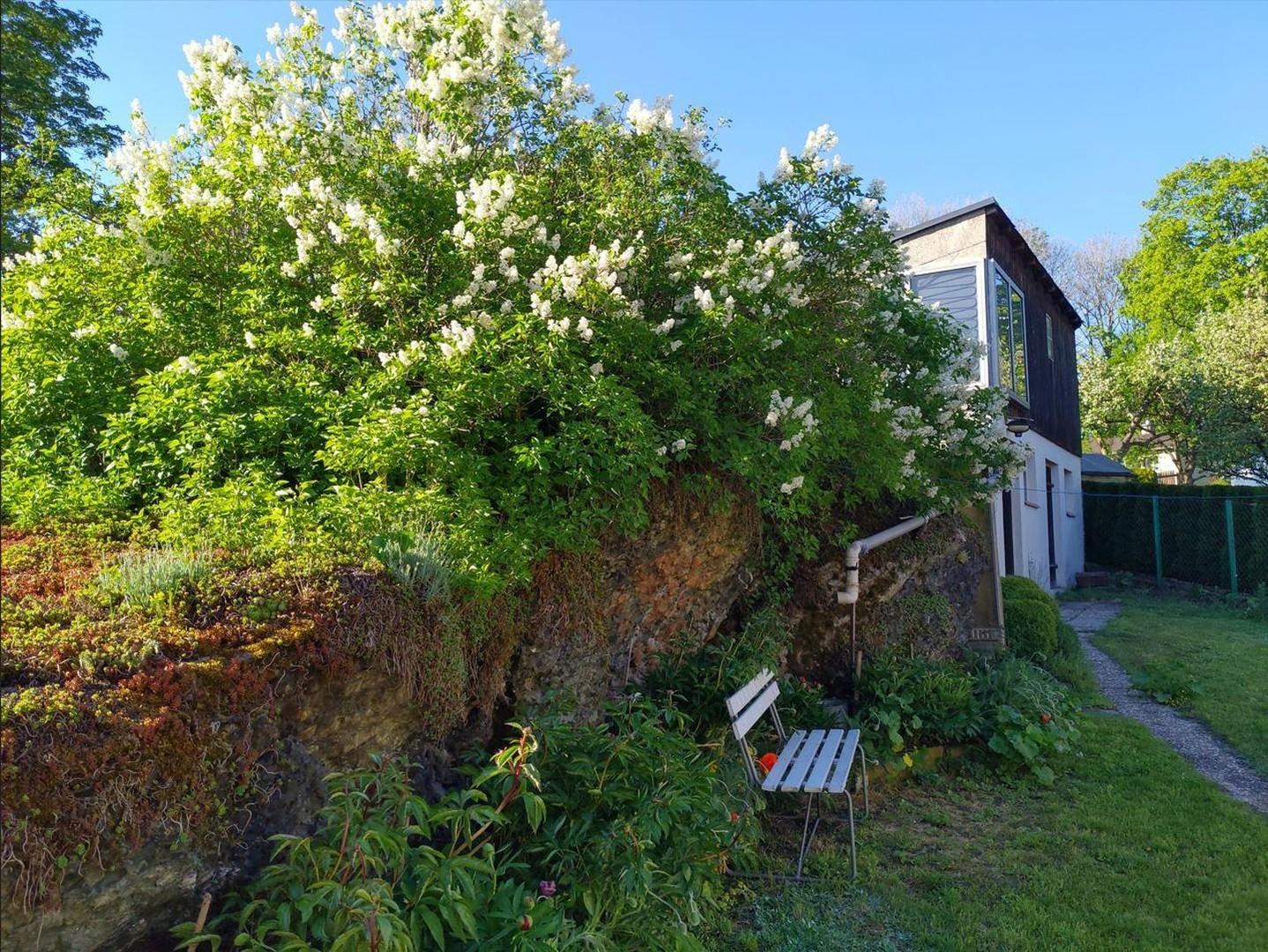 Garten mit Schuppen