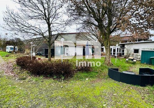 Garten / Biergarten / Terrasse