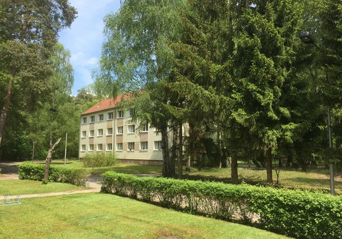 Haus von hinten