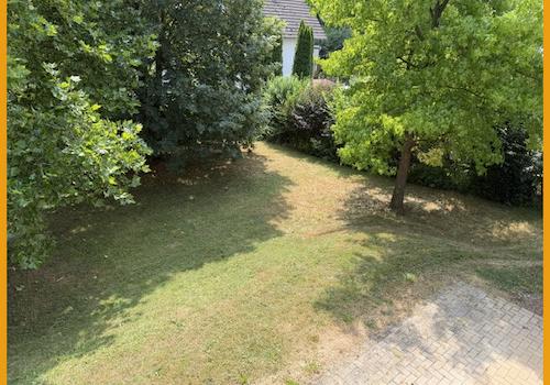 Blick in den Garten