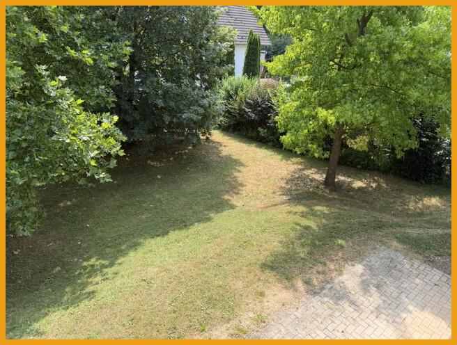 Blick in den Garten