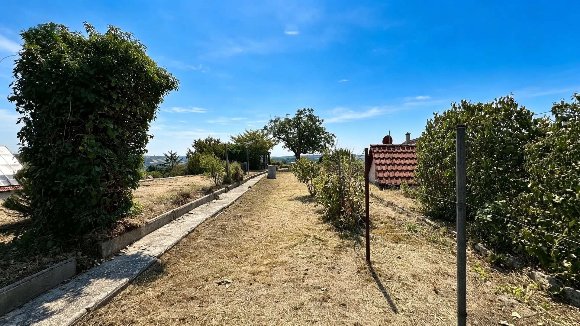 Garten (2)