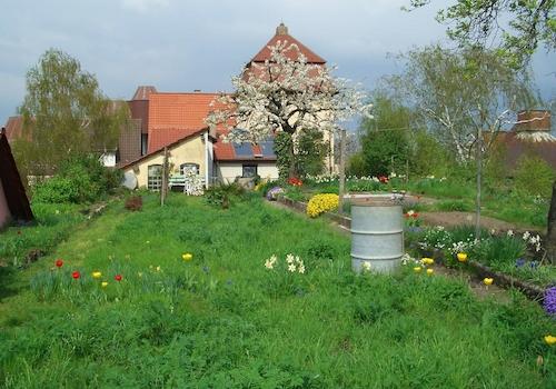 Garten (4)